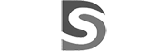 DS logo